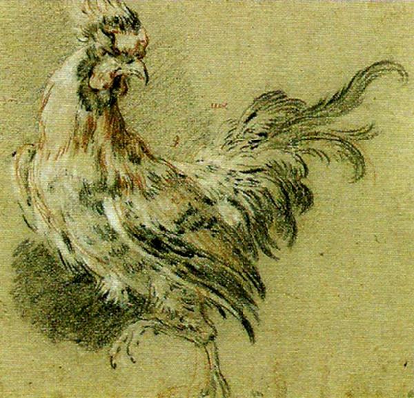 Francois Boucher studie av tupp china oil painting image